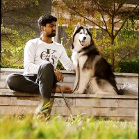 Hari Venkat Sakhinala