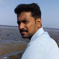 Hardik Tripathi