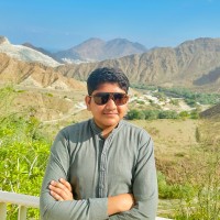 Hasnain Muavia