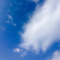 王竟宇