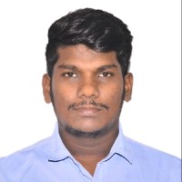 VIGNESH P