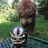 Jason Clapsaddle