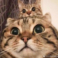 刘槟瑞