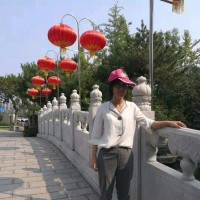 王金蕾
