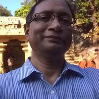 Bibek Ray