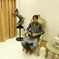 Muhammad Naveed Anwar