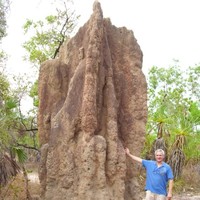 Cornelis van Oeffelen