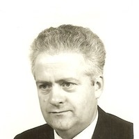 Cees van  Wijk