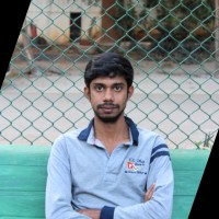 Balaji Palanisamy