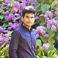 Savan P.