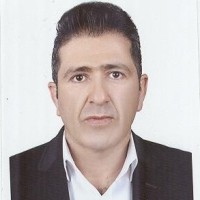 iraj hosseini