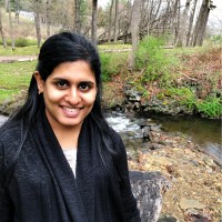 vindhya vasini