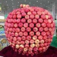 刘文顺