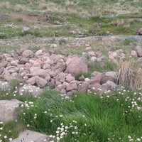 میلان منصور