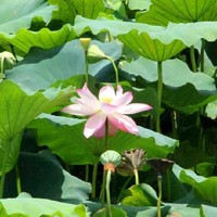赵广义