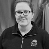 Kate Felsovary
