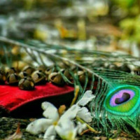 Sangeetha V V