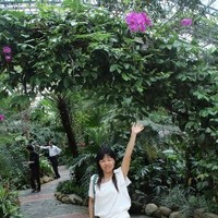 Linda Lee