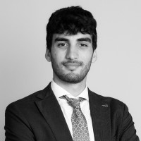 Davide Bertin