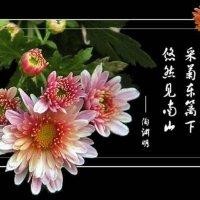 满足才