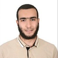 Mohamed Abd EL- moneim Amer