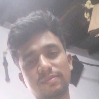 Palash Bisan