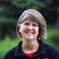 Marcie Walsh, Phd
