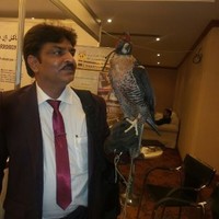 Mohammed Mastan