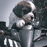 TEDDY THAMIZHAN TEDDY THAMIZHAN