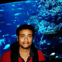 Debasis Chakraborty