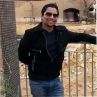 Ramy Ali