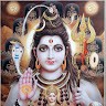 Navin Nepal