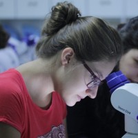 Andressa Zangirolami De Goes