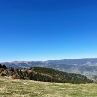 Simplis Fuossong Foking