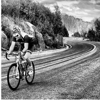 Todd Knight