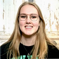 Dominique Van Der Meer