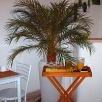 hotel le pouliguen