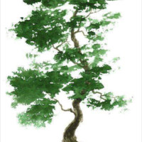 Idalia Brown