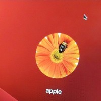 Sayed Musawir Hussain