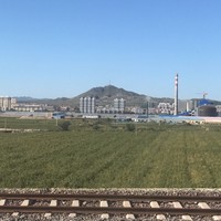 王文革