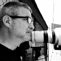 Frank Lauri