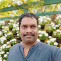 Srinivas Giri