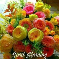 Dipt Singh