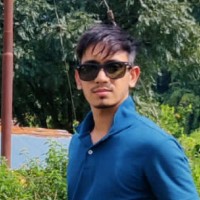 Vijay Mehra