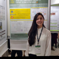 Daniela Yumi Yamamoto