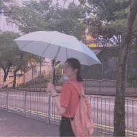 戴天华