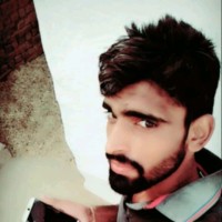 Anil Plb