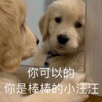 陈丰明