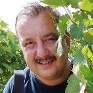 Martin Hofman