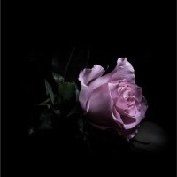 Afrah Al_Mutairy